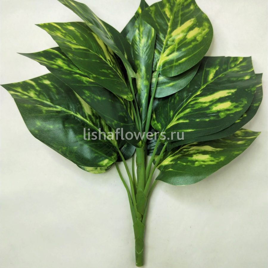 Диффенбахия 35см.Арт.3108