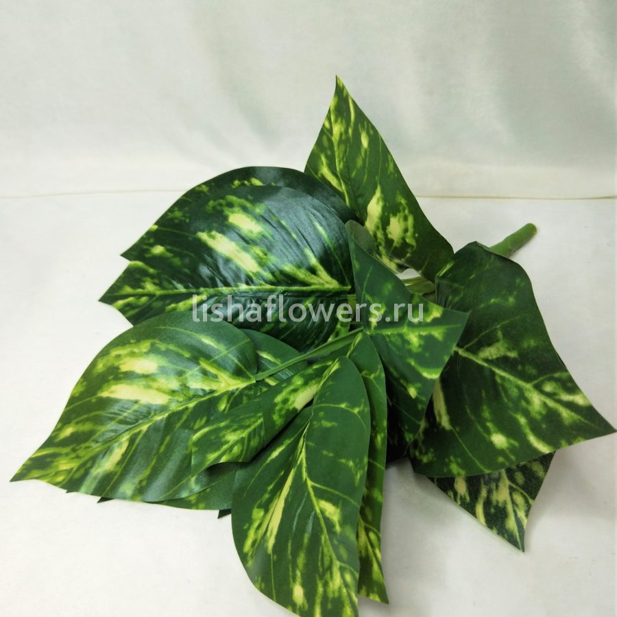 Диффенбахия 35см.Арт.3108